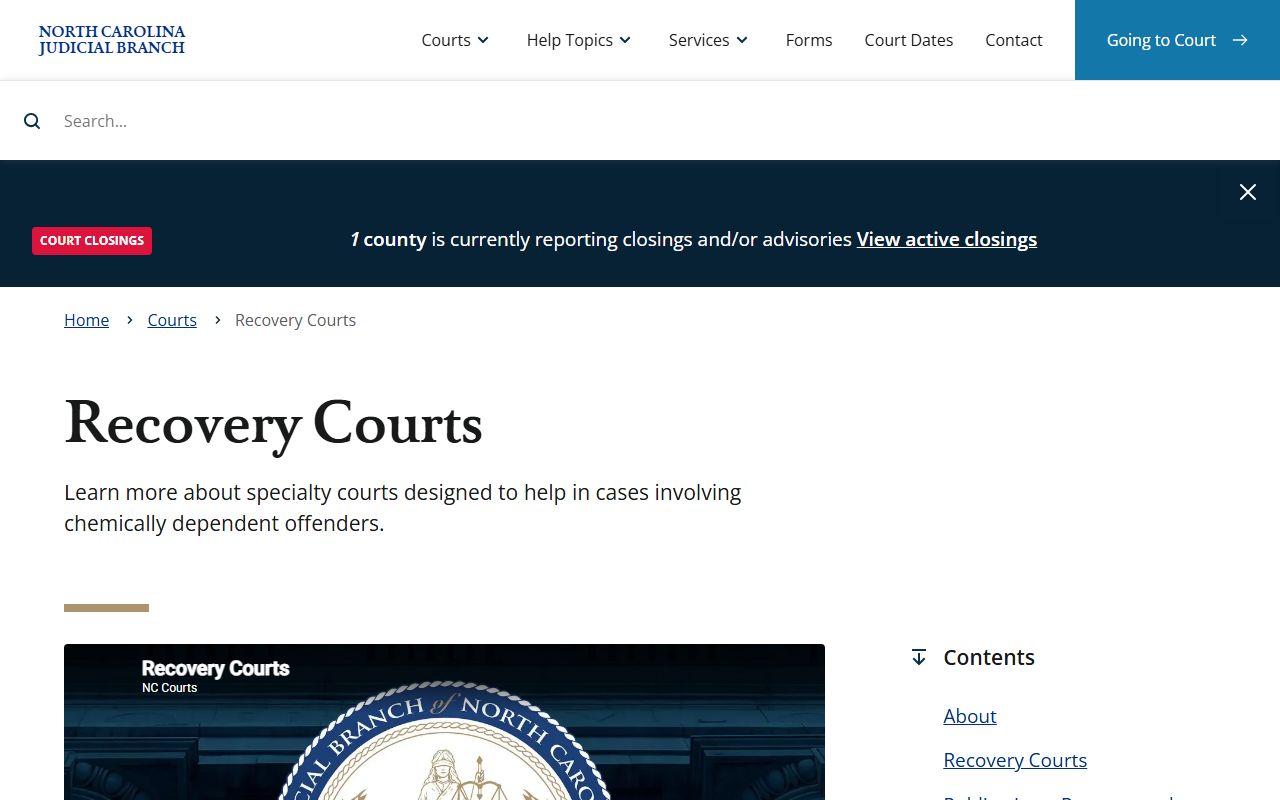 North Carolina Recovery Courts page tied to Mecklenburg County court programs
